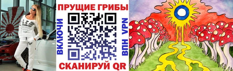 наркотики  Демидов  Галлюциногенные грибы Psilocybe 